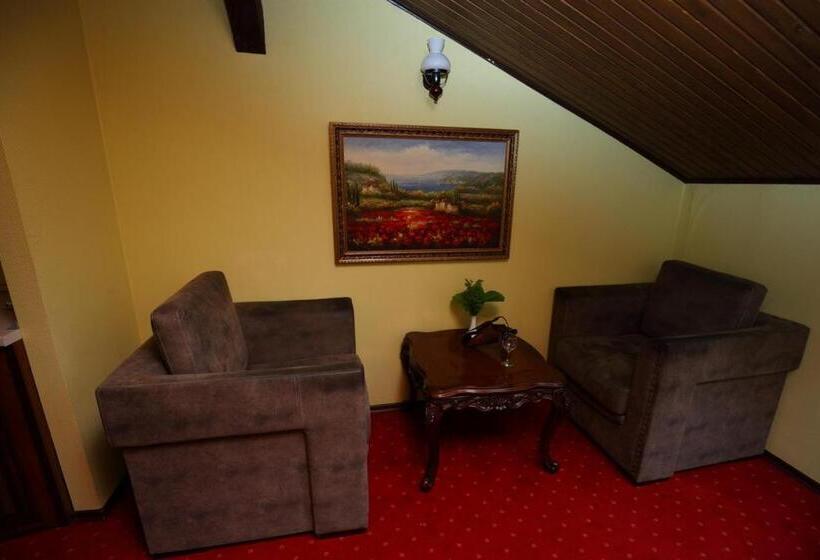 豪华房间, Medzhybozhskiy Zamok