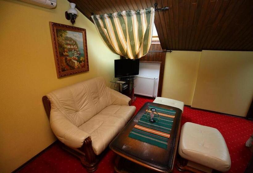 标准间, Medzhybozhskiy Zamok