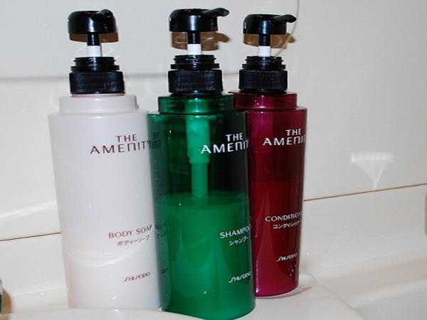 חדר סטנדרט יחיד, Sky Hotel Namerikawa