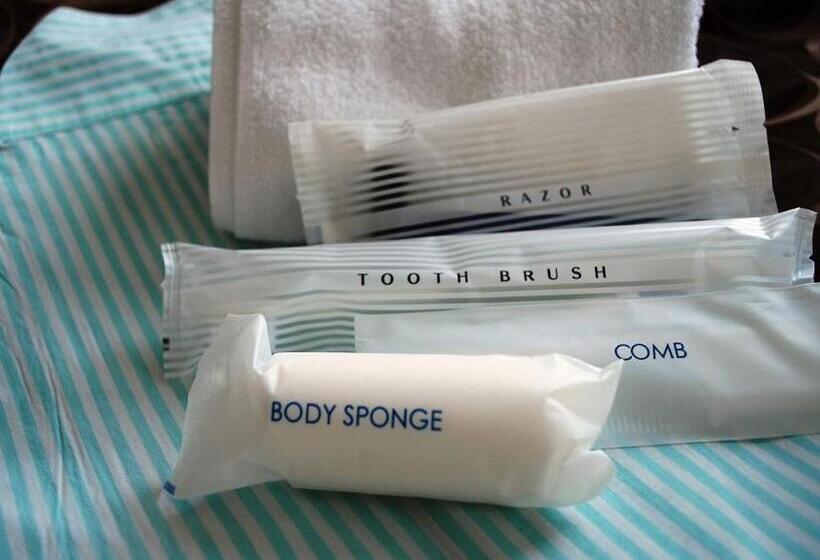 חדר בסיסי מיטה זוגית, Sky Hotel Namerikawa