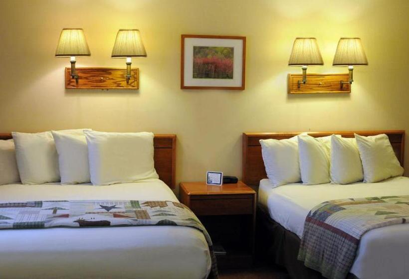 스탠다드 룸, Turkey Run Inn & Cabins