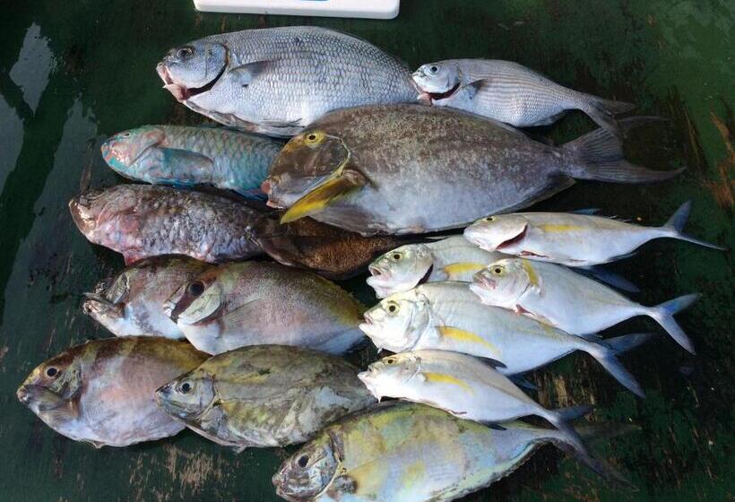 חדר משפחתי, 東のオズ