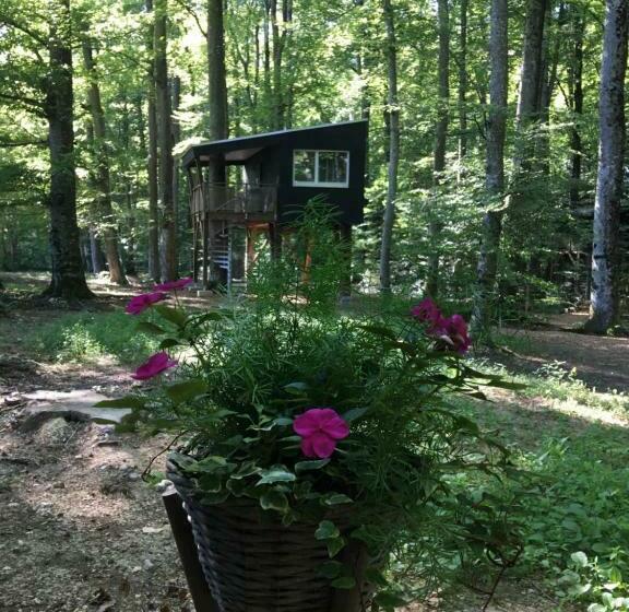 Номер Стандарт, Les Cabanes Du Mont