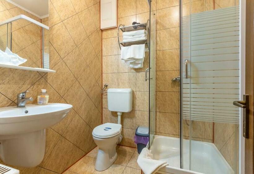 اتاق استاندارد سه نفره, Denis