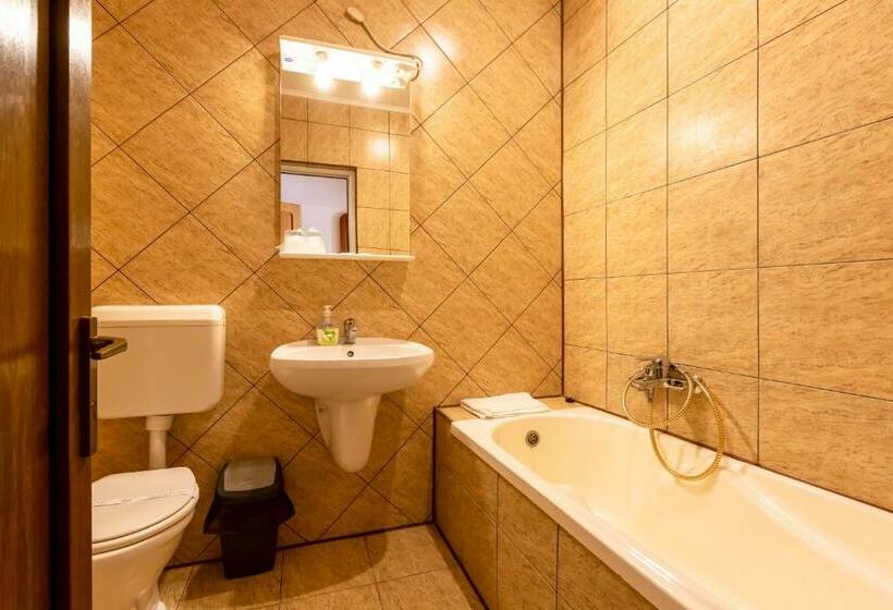 اتاق استاندارد, Denis