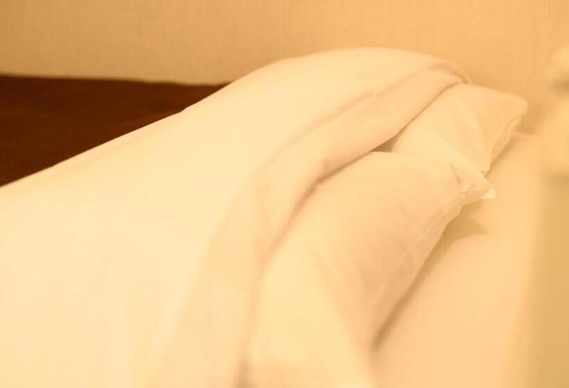 スタンダードルーム, Sabae City