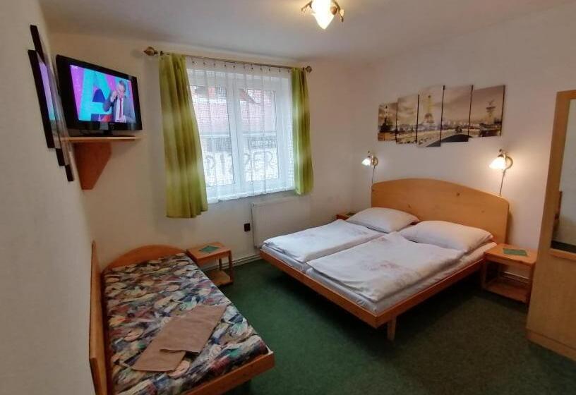 غرفة قياسية, Penzión Poľana