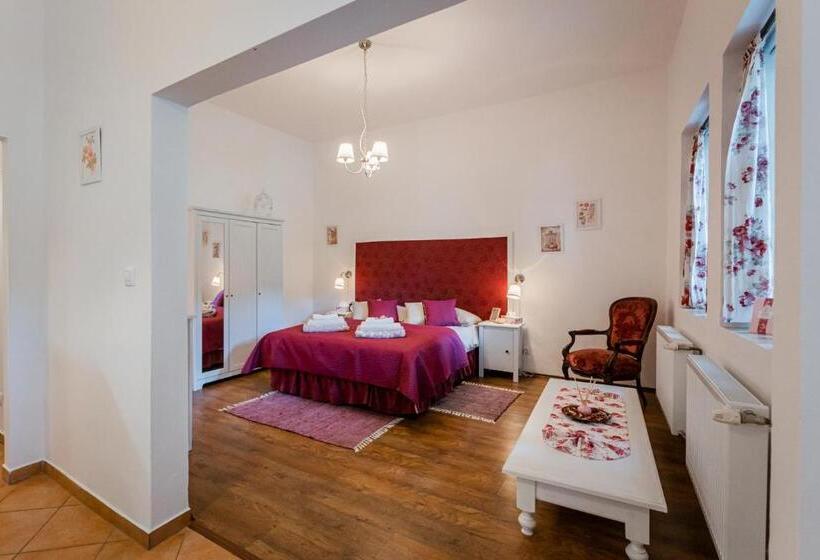 Апартаменты 1 Спальня, Penzion U Babky Bylinkářky