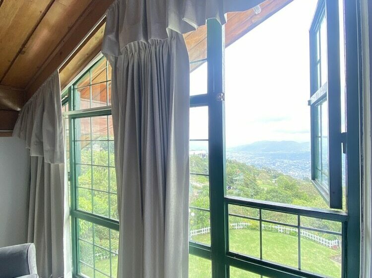 اتاق استاندارد با چشمانداز شهر, Verdant Hotel & Holistic Experience