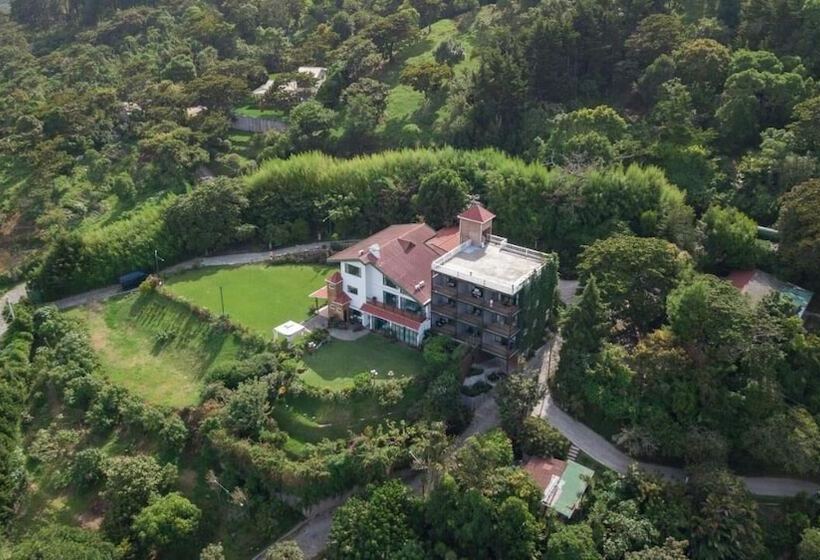 اتاق استاندارد با چشمانداز شهر, Verdant Hotel & Holistic Experience