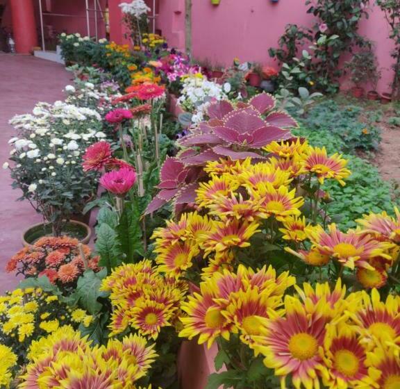 Номер Deluxe, Ratna Resort Near Bhubaneswar Airport