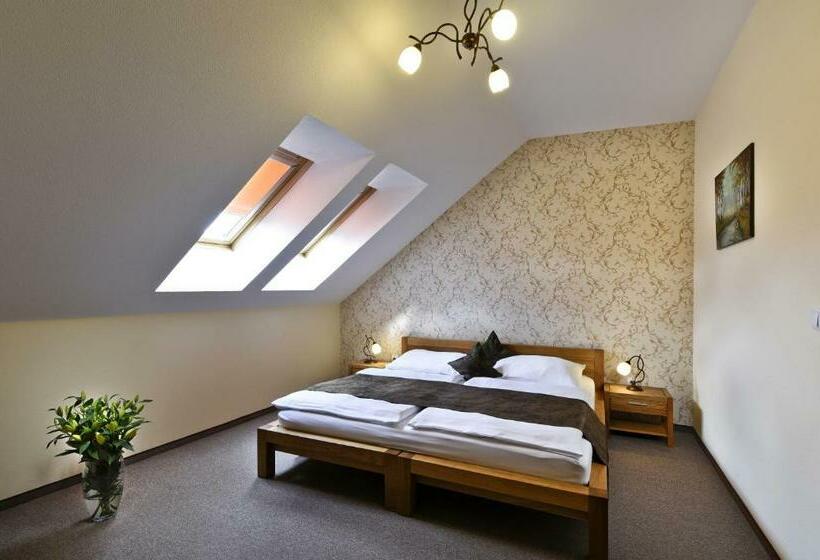 חדר סופריור, Rezort Masarykov Dvor