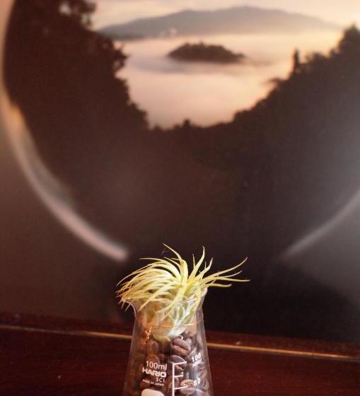 이코노미 트리플 룸, 古民家ゲストハウス ナマケモノ