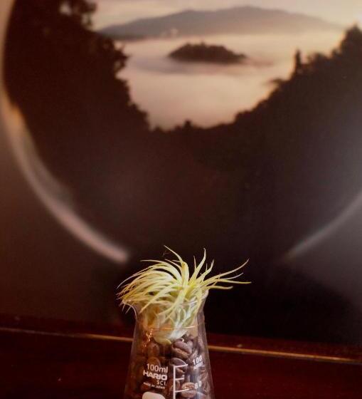 이코노미 룸, 古民家ゲストハウス ナマケモノ