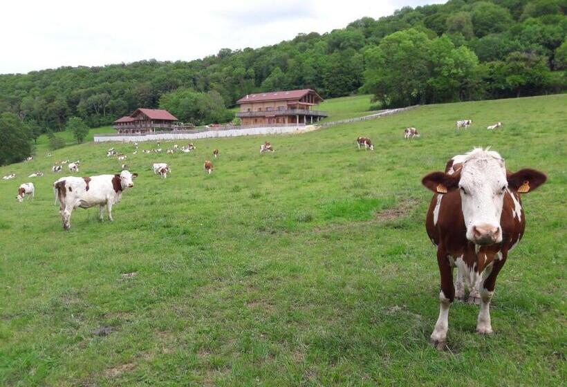 شاليه غرفة نوم واحدة, Au Doubs Repos