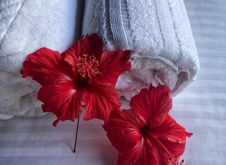 اتاق استاندارد با سرویس بهداشتی مشترک, Wanakaset Forest Glamping