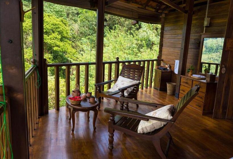 اتاق استاندارد با سرویس بهداشتی مشترک, Wanakaset Forest Glamping