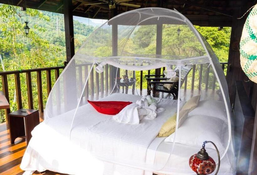 اتاق استاندارد با سرویس بهداشتی مشترک, Wanakaset Forest Glamping