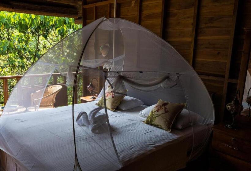 اتاق استاندارد با چشمانداز باغ, Wanakaset Forest Glamping