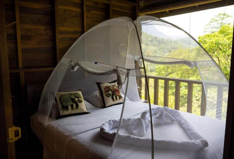 اتاق استاندارد با سرویس بهداشتی مشترک, Wanakaset Forest Glamping