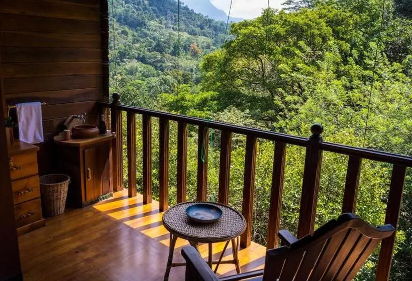 スタンダードシングルルーム, Wanakaset Forest Glamping
