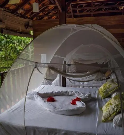 バスルーム共有のトリプルスタンダード, Wanakaset Forest Glamping
