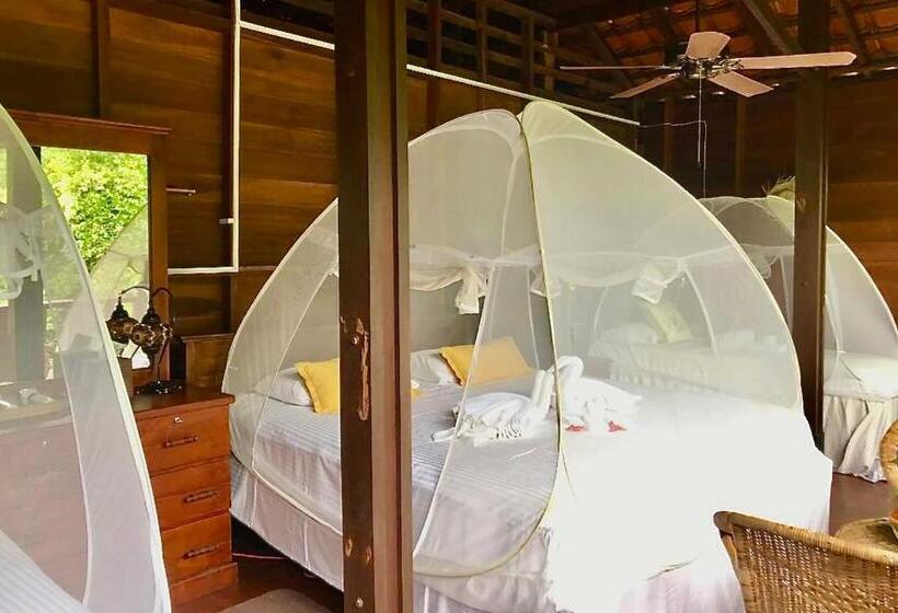 اتاق استاندارد سه تخته با سرویس بهداشتی مشترک, Wanakaset Forest Glamping