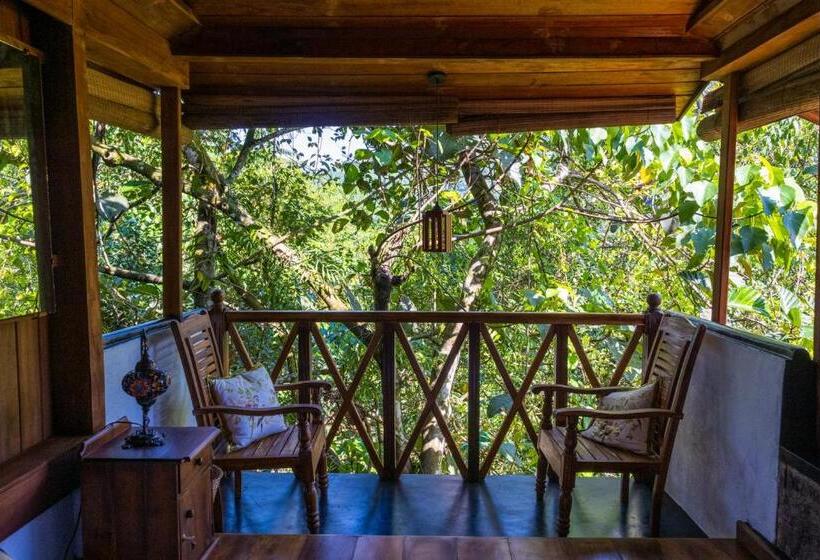 اتاق استاندارد با چشمانداز باغ, Wanakaset Forest Glamping