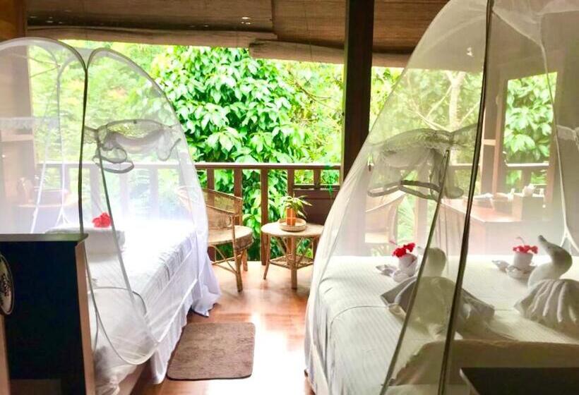 اتاق استاندارد با سرویس بهداشتی مشترک, Wanakaset Forest Glamping