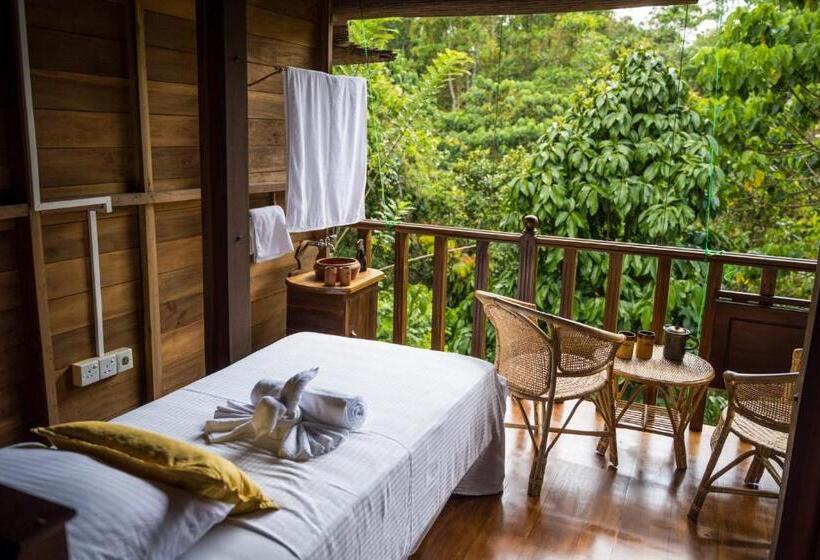 اتاق استاندارد با سرویس بهداشتی مشترک, Wanakaset Forest Glamping