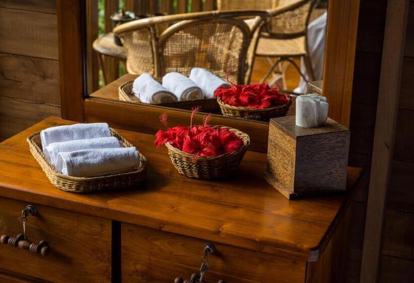 اتاق استاندارد با سرویس بهداشتی مشترک, Wanakaset Forest Glamping