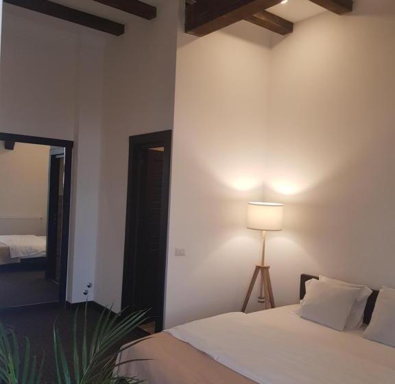 Апартаменты Deluxe 1 Спальня, Casa Drumetului