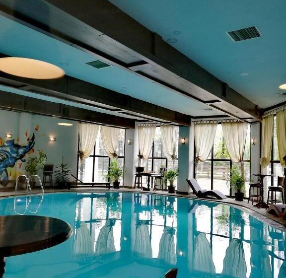 Апартаменты Deluxe 1 Спальня, Casa Drumetului