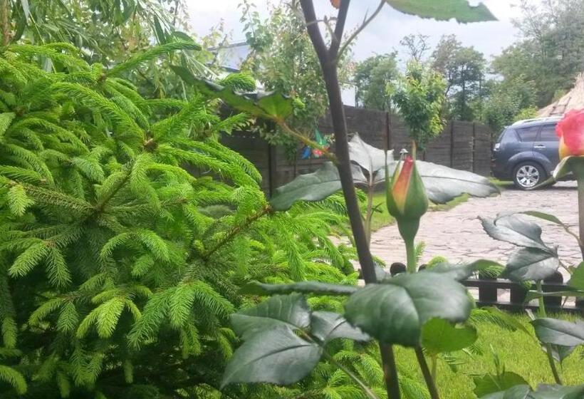 Номер Deluxe, Casa Drumetului