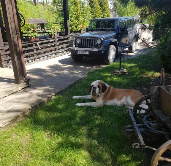 Номер Deluxe, Casa Drumetului