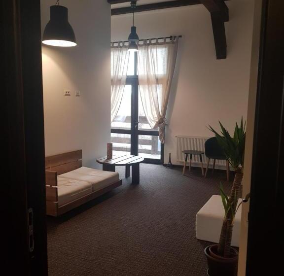 Апартаменты Deluxe 1 Спальня, Casa Drumetului