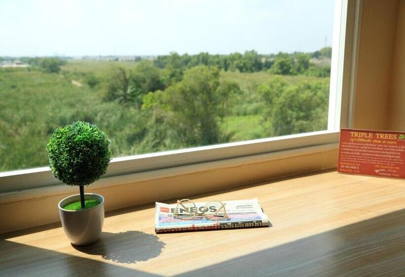 스탠다드 룸, Tripletreesvillage