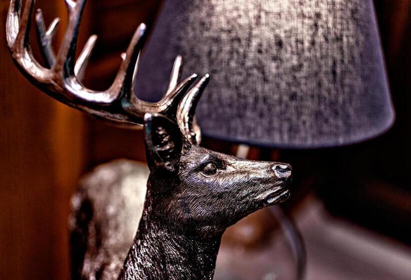 エコノミールーム, Villa Zollhaus Bed & Breakfast