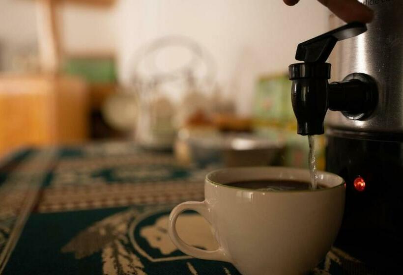 3-Bett-Standardzimmer, Chasky