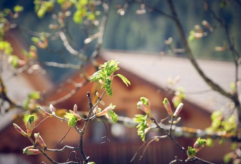 غرفة قياسية فردية, Alpina