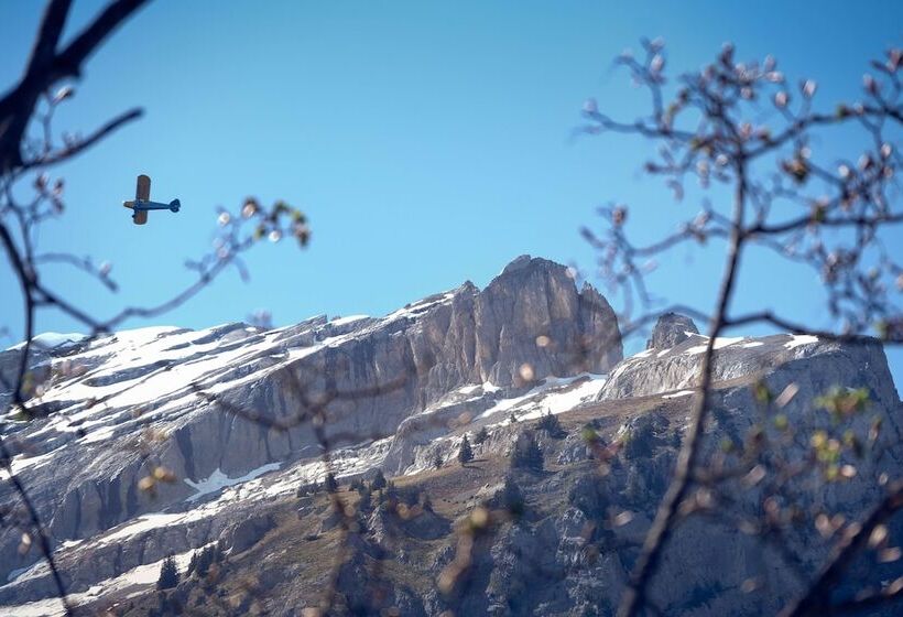 חדר סטנדרט יחיד, Alpina