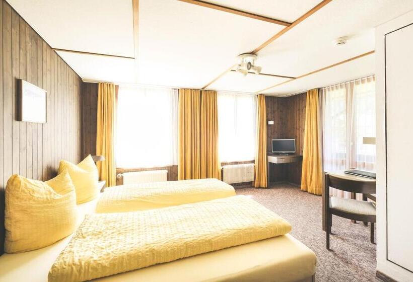 غرفة إقتصادية, Alpina