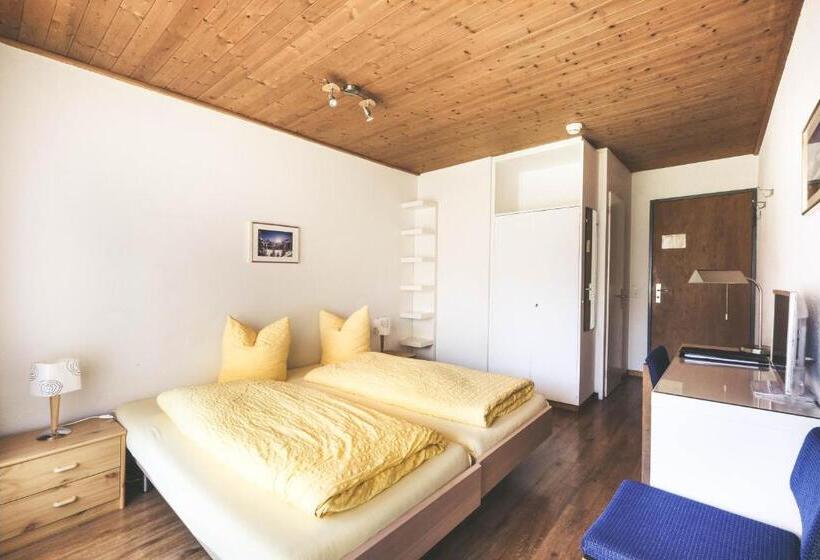 חדר סופריור עם מרפסת, Alpina