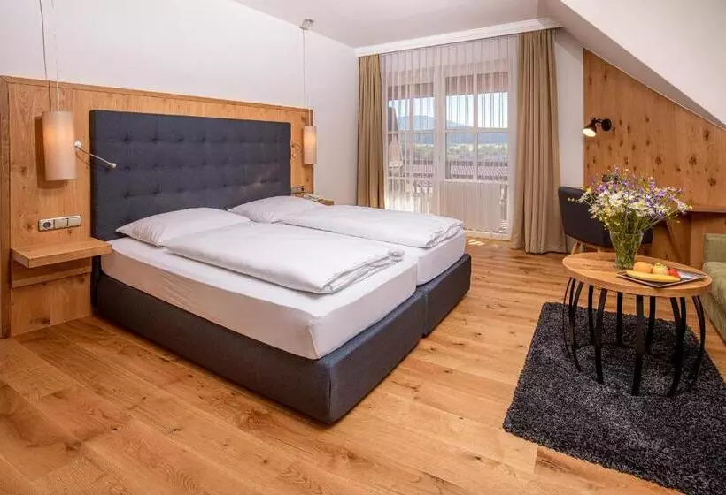 Standard Yhden Hengen Huone, Amberger Hof