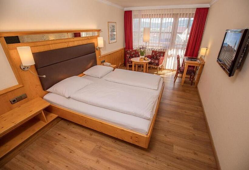 Standard Yhden Hengen Huone, Amberger Hof