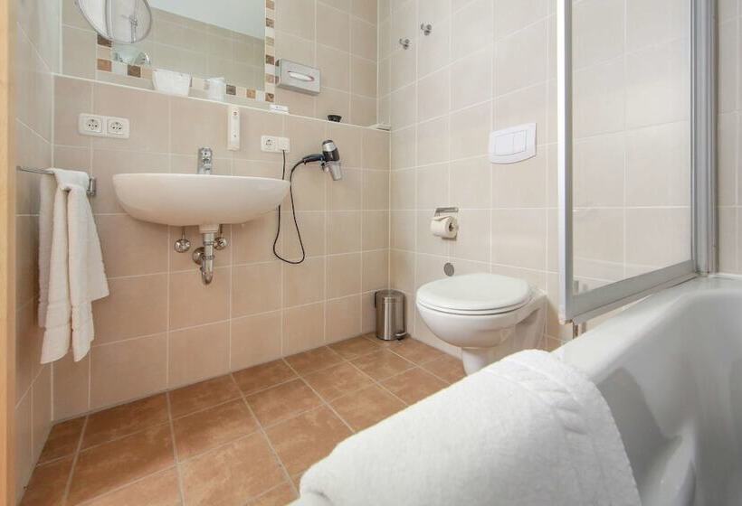 Номер бизнес-класса, Aalener Römerhotel Awl