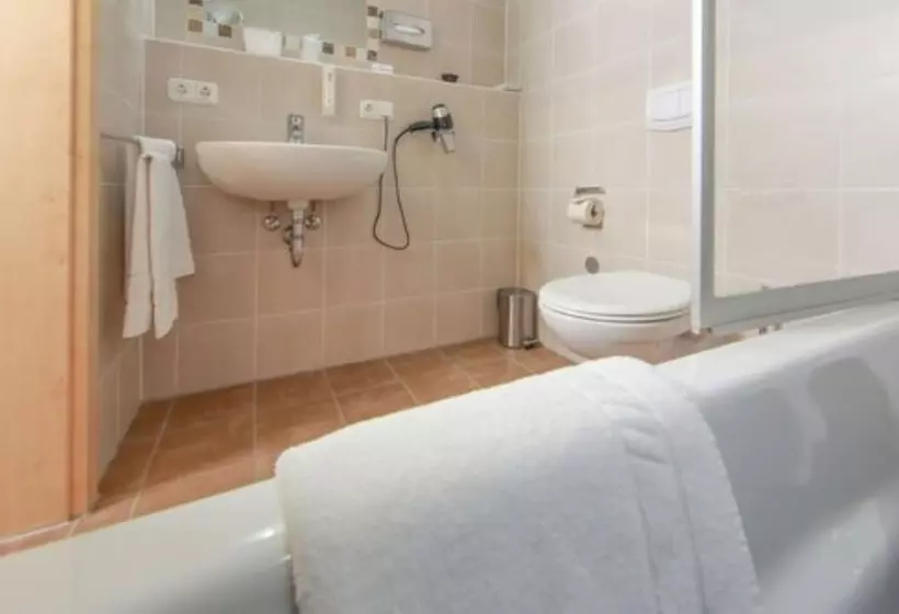 ビジネスルーム, Aalener Römerhotel Awl