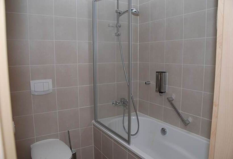 Номер бизнес-класса, Aalener Römerhotel Awl