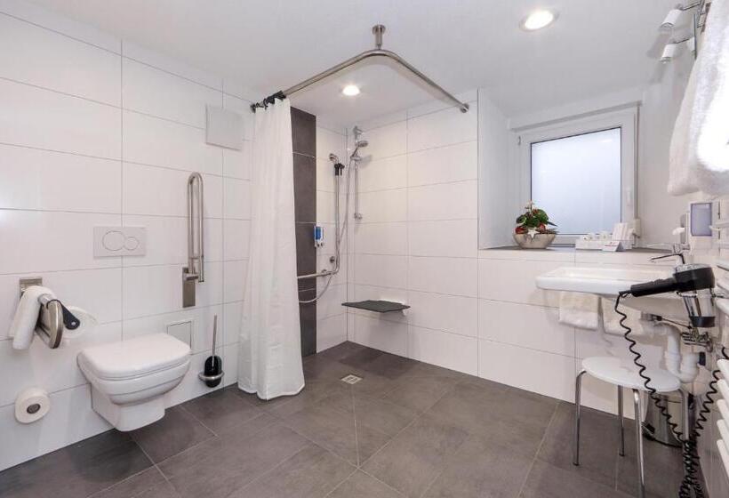 Номер Стандарт, Aalener Römerhotel Awl