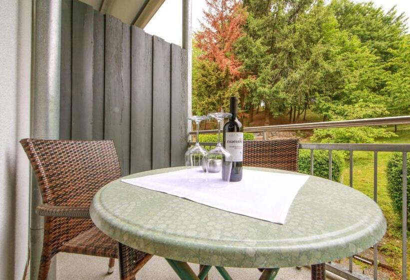 Номер бизнес-класса, Aalener Römerhotel Awl